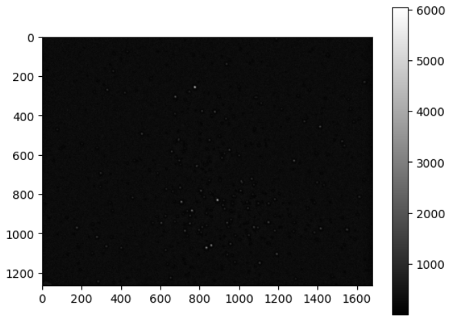 One of the final images with no background.